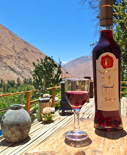 Piuquenes Elqui Winery