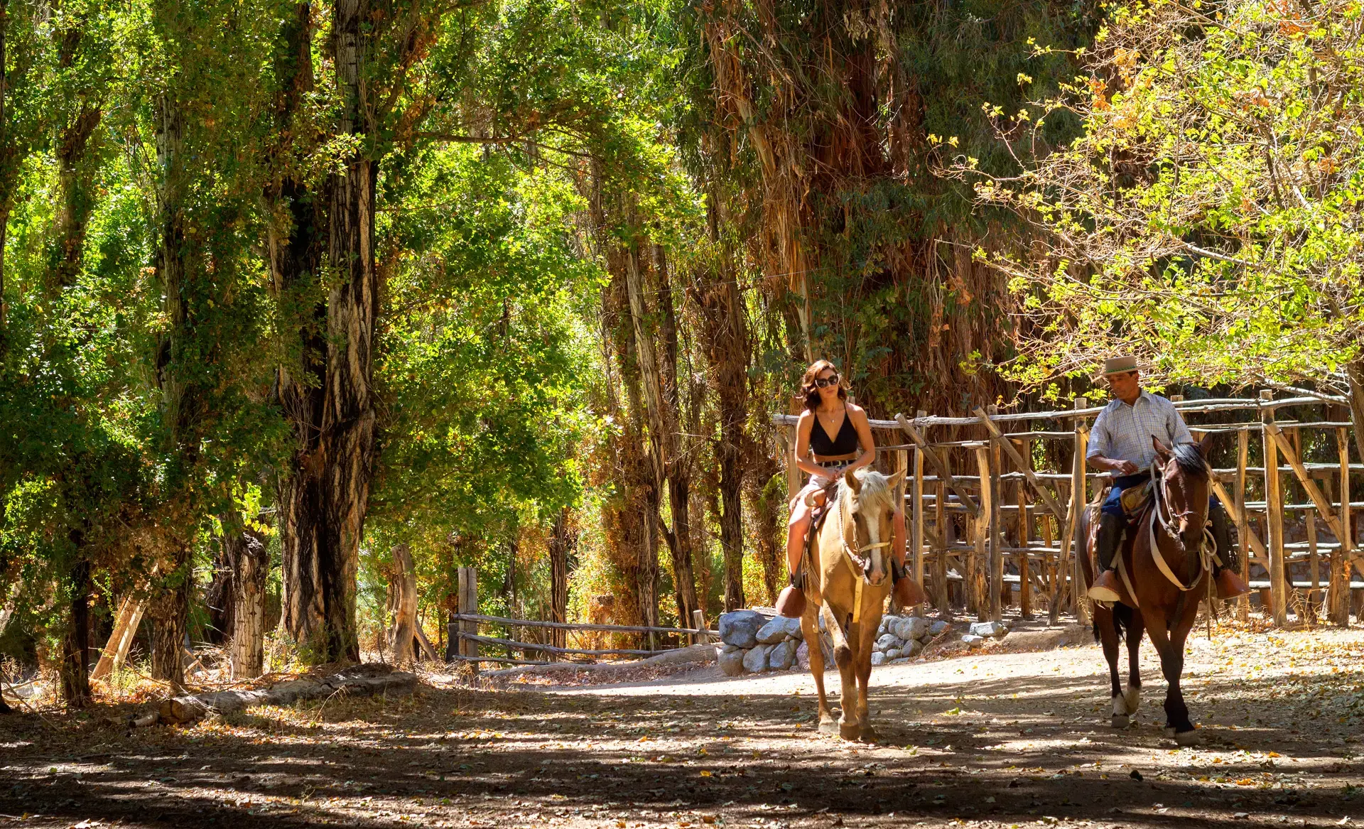 Horseback riding around Casona Distante, Elqui Valley