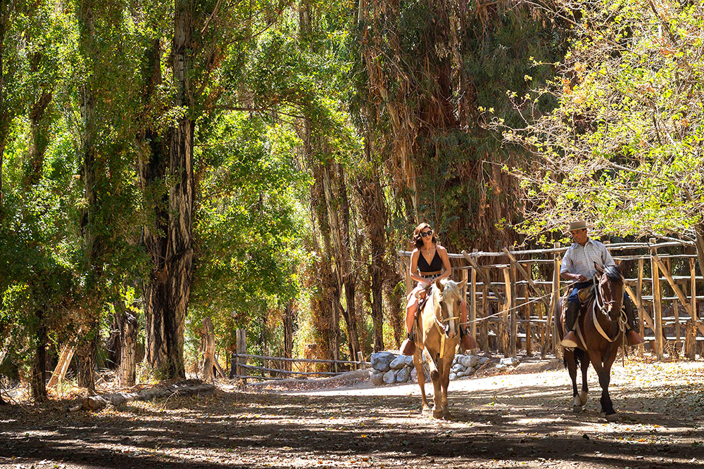 Horseback Riding
