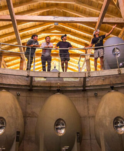 Alcohuaz Vineyards